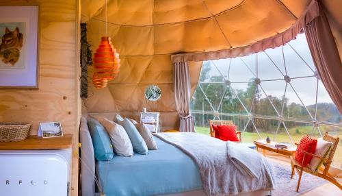 1 dormitorio con cama y ventana grande en Domescapes in the Vines en Sidmouth