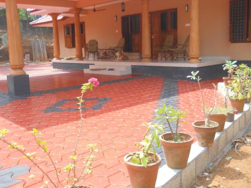 a row of potted plants sitting on a patio at CoconutCrazy! Homestay in Ottappālam