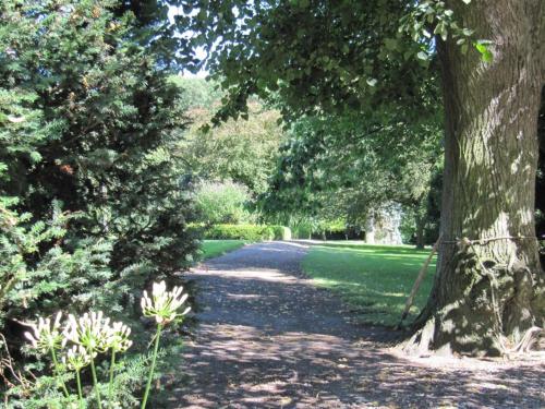 Garden sa labas ng Maisonette kleine Meerjungfrau - Ferienhof Friedrichsthal