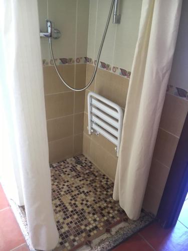 prysznic z grzejnikiem i zasłoną prysznicową w obiekcie Hotel-Apartamento Carolina y Vanessa w mieście San José