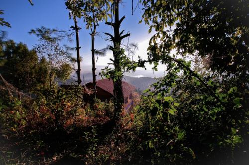 a view of a mountain through the trees at Joy Source Resort in Kathmandu