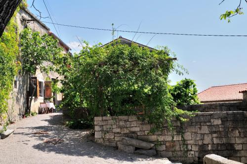 an alley with a stone wall and a tree at Blackbird House Štanjel Historic Center in Štanjel