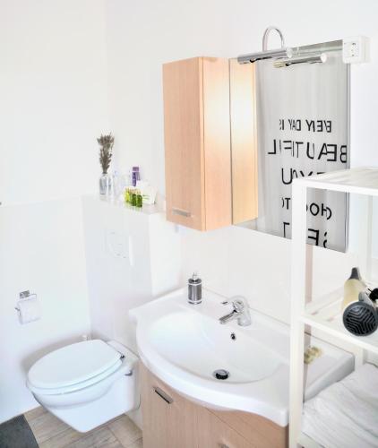 a white bathroom with a toilet and a sink at Blackbird House Štanjel Historic Center in Štanjel