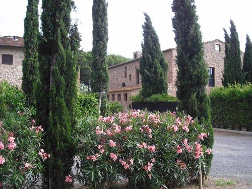 A garden outside Casaleaurelia