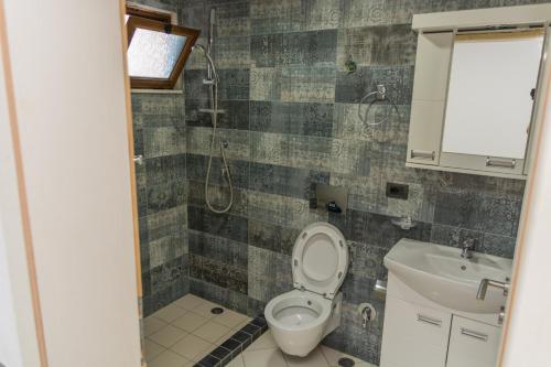 a bathroom with a toilet and a shower and a sink at Leonida Resort in Donji Štoj