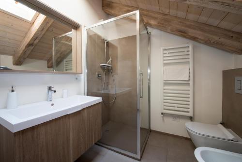 W łazience znajduje się umywalka i prysznic. w obiekcie Il Riposo del Gladiatore w Aoście