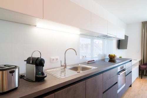 a kitchen with a sink and a counter top at Vienna Residence, Hietzing - Schönbrunn in Vienna