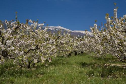 Peisaj natural din apropierea acestui B&B