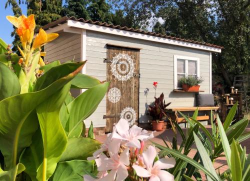 a tiny house in a garden with flowers at ALTE SCHULE WITTENBERG, 3 Ferienwohnungen für bis zu 12 Personen, an der Elbe, mit Garten in Lutherstadt Wittenberg
