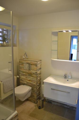 a bathroom with a toilet and a sink and a mirror at Ferienwohnung Eckernforde in Eckernförde