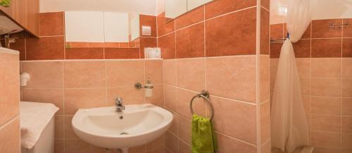 a bathroom with a sink and a shower at Helikon 32 Apartman Keszthely in Keszthely