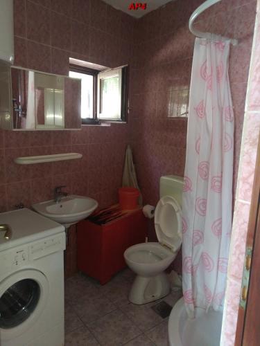 a bathroom with a toilet and a sink and a washing machine at Apartments Šudić in Njivice