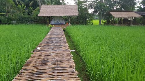 Ein Garten an der Unterkunft ฮ้างนาตาจันทร์