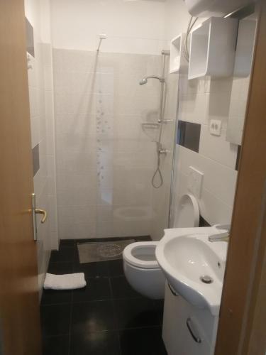 a bathroom with a shower and a toilet and a sink at Apartma ROK in Ankaran