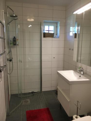 a bathroom with a shower and a sink and a mirror at Öregrund BnB in Öregrund