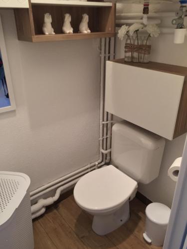 een badkamer met een wit toilet en een plank bij Appart 5pers joue du loup pied de pistes vue top in La Joue du Loup