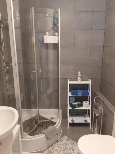 een badkamer met een douche, een toilet en een wastafel bij Ferienwohnungen Wittmann in Bad Staffelstein