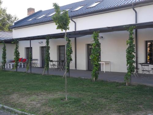 a tree in the yard of a white building at Kerámia - Vendégszobák in Szekszárd