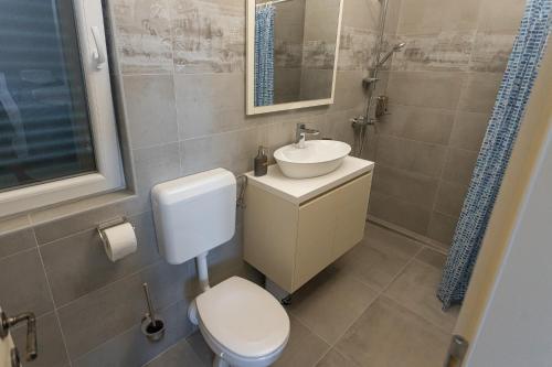 a bathroom with a toilet and a sink and a shower at Villa Decima in Milna