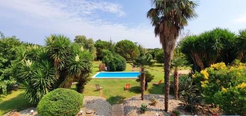 - une vue aérienne sur un jardin avec une piscine dans l'établissement La Casalamadonna, à Santa-Lucia-di-Moriani
