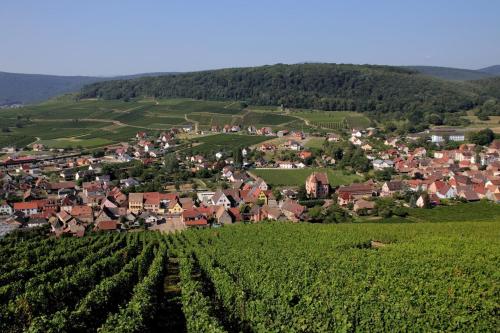 an aerial view of a small village in a vineyard at LA TÊTE AU SOLEIL in Soultzmatt