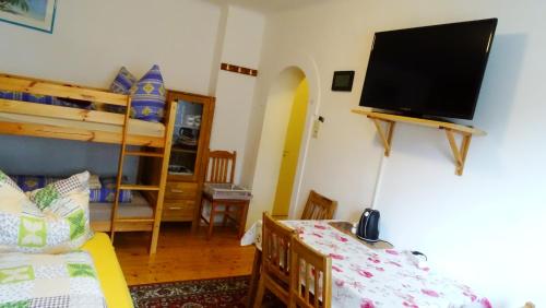 a living room with a bed and a tv on a wall at Ferienhaus-Römerthurm in Schöder