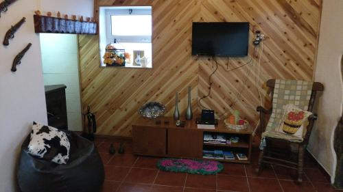 een woonkamer met een tv aan een houten muur bij Casa do Vale Encantado in Furnas