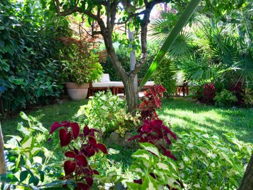 a garden with red flowers in front of a tree at Relais Casa Moresca in Terracina