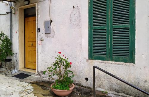 a building with a green door and a potted plant at Appartamento Tivoli Train Station in Tivoli