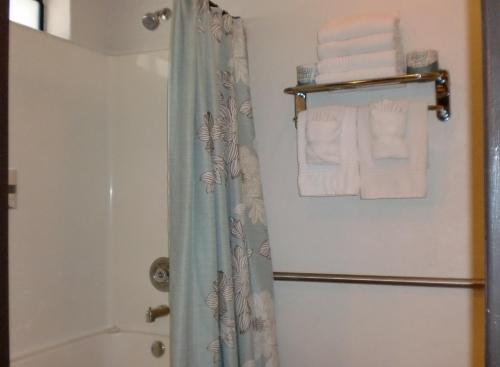 La salle de bains est pourvue d'un rideau de douche et de serviettes. dans l'établissement The North Shore Inn, à Crestline