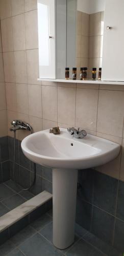 ファリラキにあるRia's Deluxe Apartmentsの白い洗面台と鏡のあるバスルーム