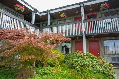 鄧肯的住宿－雷鳥汽車旅館，前面有红色门和植物的建筑