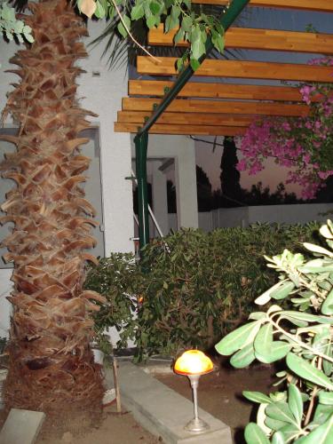 a garden with a palm tree and a table with a lamp at Tatsis Apartments in Masouri