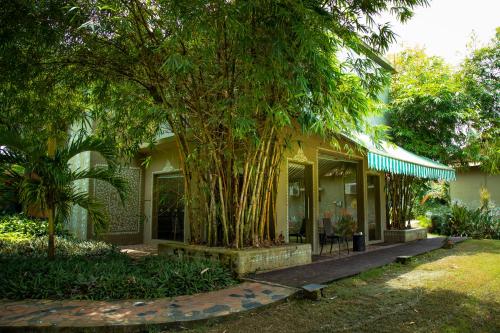a house with a tree in front of it at Breathing Earth - Rooms and Pool in Kolkata