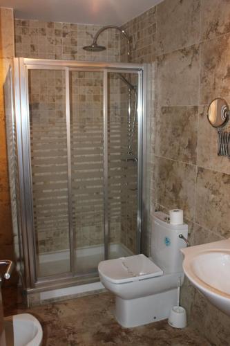 a bathroom with a shower and a toilet and a sink at Hotel Peña Escrita in Fuencaliente