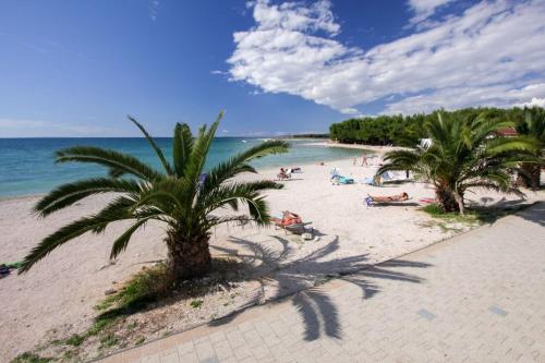 a beach with palm trees and people laying on the sand at Apartments Javorka in Povljana