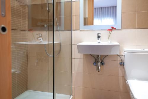 a bathroom with a shower and a sink and a toilet at Hostal Abami II in Madrid