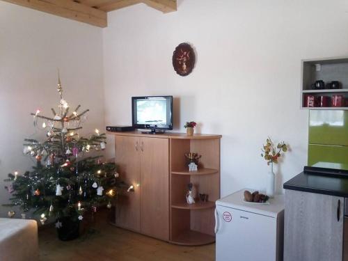 Sala de estar con árbol de Navidad y TV en Chata Linda, en Huty
