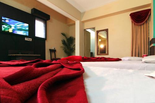 Una cama o camas en una habitación de Hotel The Shagun