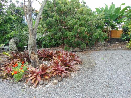 Gallery image of Coco-nut Hale in Kailua-Kona
