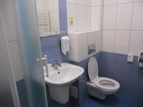 ein kleines Bad mit WC und Waschbecken in der Unterkunft Motel Madona in Banská Bystrica