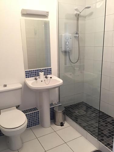 uma casa de banho com um WC, um lavatório e um chuveiro em Wexford Town Centre Apartment em Wexford