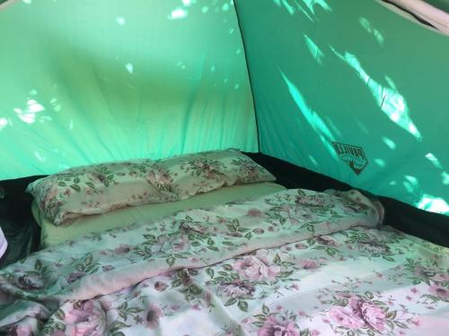 una camera con 2 letti in una tenda di Camp Podkraj a Virpazar