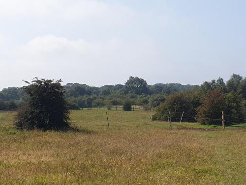 a field with a tree in the middle of a field at Open Acres Accommodation in Bristol