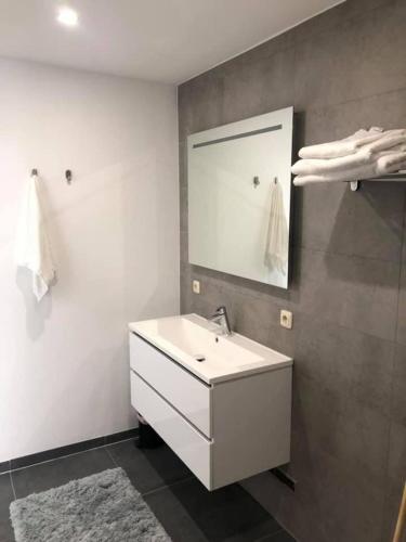 a bathroom with a white sink and a mirror at Huize Hoge Fronten in Maastricht