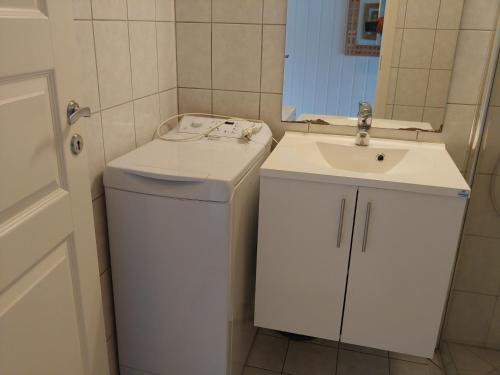 baño pequeño con lavabo y lavadora en Nedre Amla Fjord Apartment, en Kaupanger