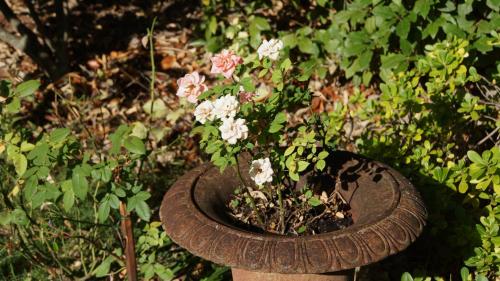 Un jardín fuera de Hôtel de charme L'Orée du Parc