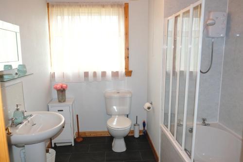 a bathroom with a toilet and a sink and a shower at Druimard, Lower Barvas, Isle of Lewis in Barvas