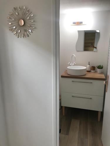 La salle de bains est pourvue d'un lavabo et d'un miroir. dans l'établissement Duplex Atypique Paris 13 Station F Bercy, à Paris