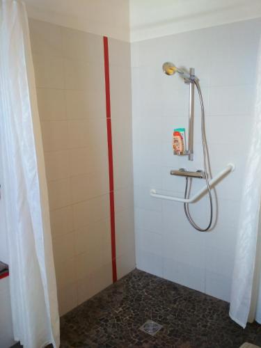 a shower in a bathroom with a red stripe at Chalet La Bachole in Charancieu